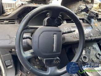 Land Rover Range Rover Range Rover Evoque II (LZC/LZS/LZH), SUV, 2018 2.0 P250 MHEV 16V AWD picture 14