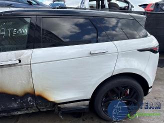 Land Rover Range Rover Range Rover Evoque II (LZC/LZS/LZH), SUV, 2018 2.0 P250 MHEV 16V AWD picture 10