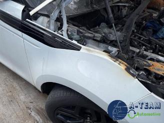 Land Rover Range Rover Range Rover Evoque II (LZC/LZS/LZH), SUV, 2018 2.0 P250 MHEV 16V AWD picture 12