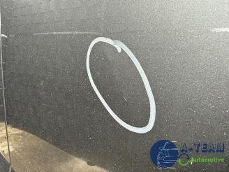 Fiat Doblo Doblo Cargo (263), Van, 2010 1.3 MJ 16V DPF Euro 5 picture 31