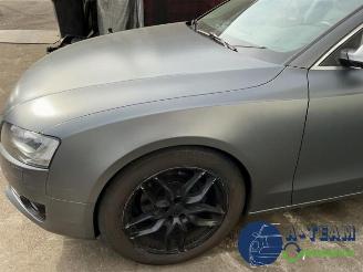 Audi 50 A5 Sportback (8TA), Liftback, 2009 / 2017 2.0 TDI 16V picture 24