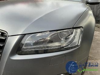 Audi 50 A5 Sportback (8TA), Liftback, 2009 / 2017 2.0 TDI 16V picture 20