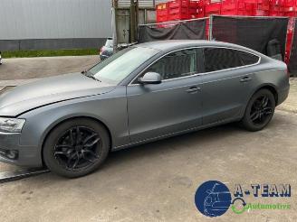 Audi 50 A5 Sportback (8TA), Liftback, 2009 / 2017 2.0 TDI 16V picture 6