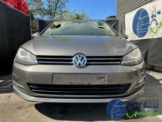 Volkswagen Golf Golf VII (AUA), Hatchback, 2012 / 2021 2.0 TDI 16V picture 5