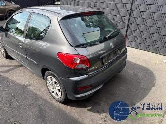 Peugeot 206 206+ (2L/M), Hatchback, 2009 / 2013 1.1 XR,XS picture 7