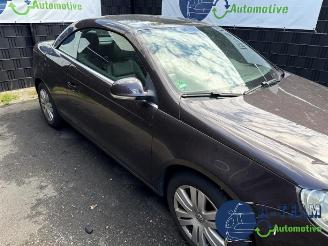 Volkswagen Eos Eos (1F7/F8), Cabrio, 2006 / 2015 2.0 FSI 16V picture 11
