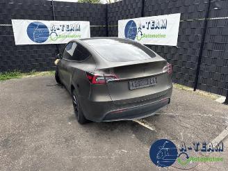 Autoverwertung Tesla Model Y Model Y (5YJY), SUV, 2019 / 2025 Long Range,Performance 2023/8