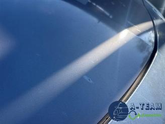 Renault Clio Clio III Estate/Grandtour (KR), Combi, 2007 / 2014 1.6 16V picture 33