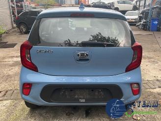 Kia Picanto Picanto (JA), Hatchback, 2017 1.0 DPi 12V picture 9