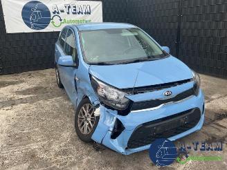 Kia Picanto Picanto (JA), Hatchback, 2017 1.0 DPi 12V picture 3