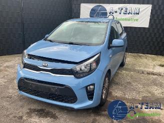 Vrakbiler auto Kia Picanto Picanto (JA), Hatchback, 2017 1.0 DPi 12V 2021/1