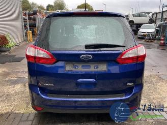 Ford Grand C-Max Grand C-Max (DXA), MPV, 2010 / 2019 1.0 Ti-VCT EcoBoost 12V 125 picture 9