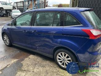 Ford Grand C-Max Grand C-Max (DXA), MPV, 2010 / 2019 1.0 Ti-VCT EcoBoost 12V 125 picture 6