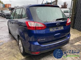 Ford Grand C-Max Grand C-Max (DXA), MPV, 2010 / 2019 1.0 Ti-VCT EcoBoost 12V 125 picture 10