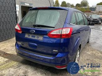 Ford Grand C-Max Grand C-Max (DXA), MPV, 2010 / 2019 1.0 Ti-VCT EcoBoost 12V 125 picture 11