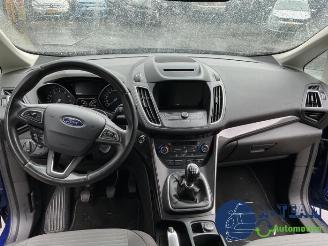 Ford Grand C-Max Grand C-Max (DXA), MPV, 2010 / 2019 1.0 Ti-VCT EcoBoost 12V 125 picture 13