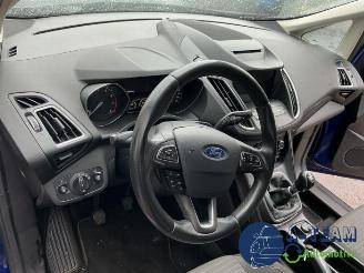 Ford Grand C-Max Grand C-Max (DXA), MPV, 2010 / 2019 1.0 Ti-VCT EcoBoost 12V 125 picture 12