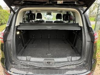 Ford S-Max vignale no damage picture 6