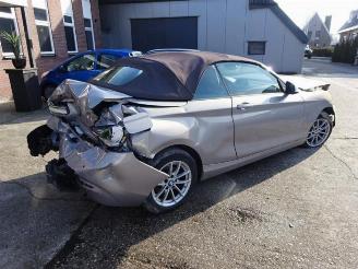 BMW 2-serie 2 serie (F23), Cabrio, 2014 / 2021 218i 1.5 TwinPower Turbo 12V picture 4