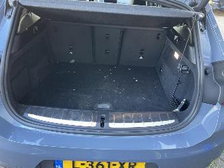 BMW X2 sDrive18i High Executive picture 13