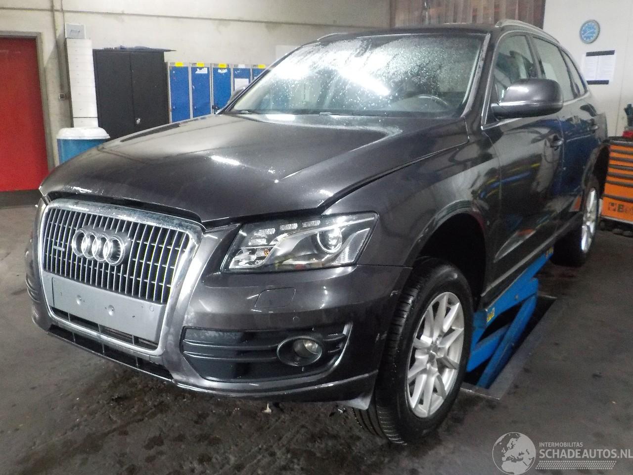 Audi Q5 Q5 (8RB/RX) SUV 2.0 TDI 16V (CJCA) [105kW]  (11-2010/...)