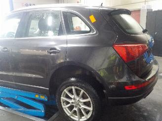 Audi Q5 Q5 (8RB/RX) SUV 2.0 TDI 16V (CJCA) [105kW]  (11-2010/...) picture 4