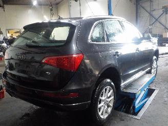 Audi Q5 Q5 (8RB/RX) SUV 2.0 TDI 16V (CJCA) [105kW]  (11-2010/...) picture 3
