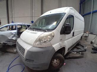 Fiat Ducato Ducato (250) Van 2.3 D 120 Multijet (F1AE0481D) [88kW]  (07-2006/...) picture 1