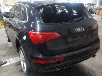 Audi Q5 Q5 (8RB) SUV 3.0 TDI V6 24V Quattro (CPNB) [176kW]  (11-2008/05-2017) picture 4