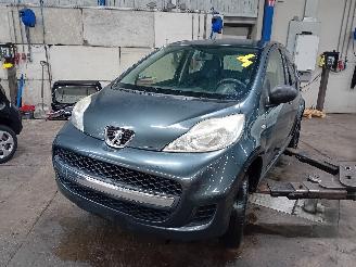 disassembly passenger cars Peugeot 107 107 Hatchback 1.0 12V (384F(1KR)) [50kW]  (06-2005/05-2014) 2010
