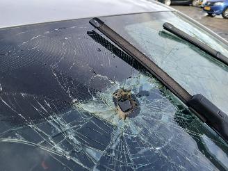 Volkswagen Polo Polo VI (AW1) Hatchback 5-drs 1.0 TSI 12V (CHZL) [70kW]  (06-2017/...)= picture 33