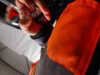 Audi SQ5 SQ5 (8RB) SUV 3.0 TDI V6 24V (CVUC) [230kW]  (12-2012/11-2015) picture 33