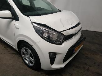 Kia Picanto Picanto (JA) Hatchback 1.0 DPI 12V (G3LD) [46kW]  (05-2024/...) picture 23