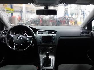 Volkswagen Golf Golf VII Variant (AUVV) Combi 1.6 TDI BlueMotion 16V (CRKB) [81kW]  (0=
5-2013/12-2020) picture 5