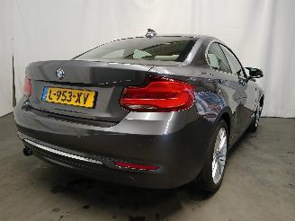 BMW 2-serie 2 serie (F22) Coupé 218i 1.5 TwinPower Turbo 12V (B38-B15A) [100kW] =
 (03-2015/06-2021) picture 5