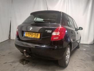 Skoda Fabia Fabia II (5J) Hatchback 5-drs 1.2 TSI (CBZA) [63kW]  (03-2010/12-2014)= picture 5