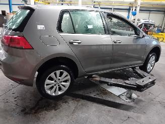 Volkswagen Golf Golf VII (AUA) Hatchback 1.4 TSI 16V (CXSA(Euro 5)) [90kW]  (11-2012/0=
3-2020) picture 3