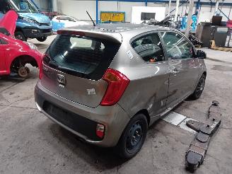 Kia Picanto Picanto (TA) Hatchback 1.0 12V (G3LA) [51kW]  (05-2011/06-2017) picture 3