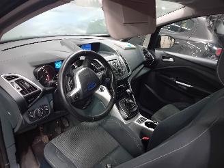 Ford Grand C-Max Grand C-Max (DXA) MPV 1.6 EcoBoost 16V (JQDA(Euro 5)) [110kW]  (12-201=
0/06-2019) picture 5