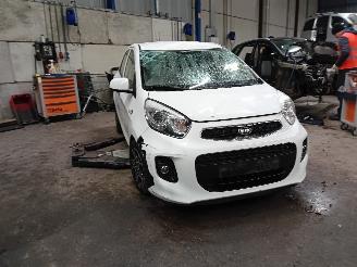 Kia Picanto Picanto (TA) Hatchback 1.0 12V (G3LA) [49kW]  (05-2011/06-2017) picture 2