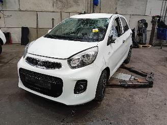 Uttjänta bilar auto Kia Picanto Picanto (TA) Hatchback 1.0 12V (G3LA) [49kW]  (05-2011/06-2017) 2016/2
