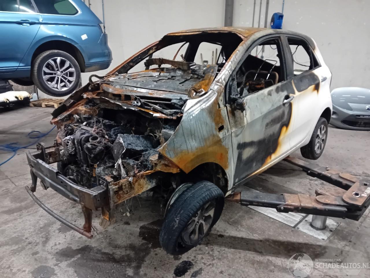 Kia Picanto Picanto (TA) Hatchback 1.0 12V (G3LA) [49kW]  (05-2011/06-2017)