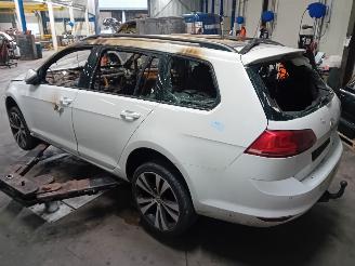 Volkswagen Golf Golf VII Variant (AUVV) Combi 1.6 TDI BlueMotion 16V (CRKB) [81kW]  (0=
5-2013/12-2020) picture 4