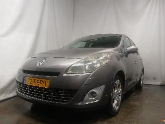 škoda osobní automobily Renault Scenic Grand Scénic III (JZ) MPV 2.0 16V CVT (M4R-F713) [103kW]  (02-2009/1=
2-2016) 2011/3