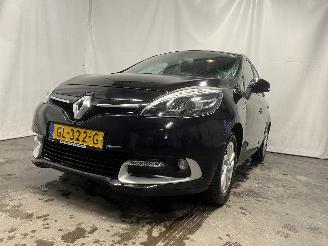 škoda osobní automobily Renault Scenic Scénic III (JZ) MPV 1.2 16V TCe 115 Energy (H5F-400(H5F-A4)) [85kW] =
 (04-2012/09-2016) 2015/6