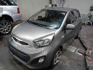 Salvage car Kia Picanto Picanto (TA) Hatchback 1.0 12V (G3LA) [51kW]  (05-2011/06-2017) 2011/12