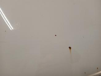 BMW 1-serie 1 serie (E81) Hatchback 3-drs 118i 16V (N43-B20A) [105kW]  (09-2006/12=
-2011) picture 22