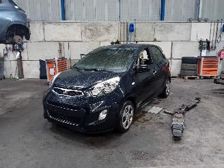 Vrakbiler auto Kia Picanto Picanto (TA) Hatchback 1.0 12V (G3LA) [51kW]  (05-2011/06-2017) 2014/9