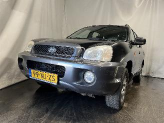 Schadeauto Hyundai Santa Fe Santa Fe I SUV 2.0 16V 4x2 (G4JP) [99kW]  (08-2001/02-2006) 2003/10