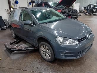 Volkswagen Golf Golf VII Variant (AUVV) Combi 1.6 TDI BlueMotion 16V (CXXB) [81kW]  (0=
5-2013/12-2020) picture 2